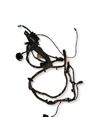 BMW X5 E70 Rear door wiring loom 9203115