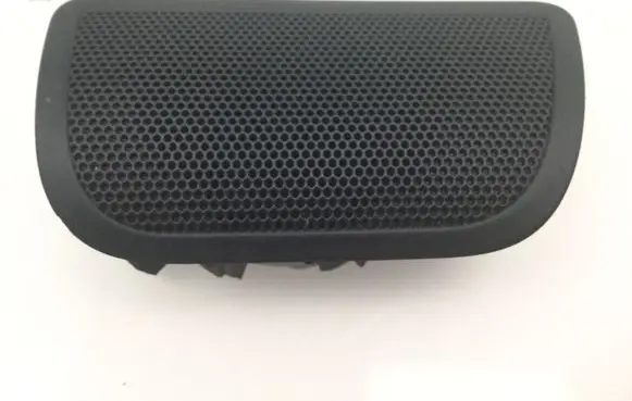 Rear door speaker