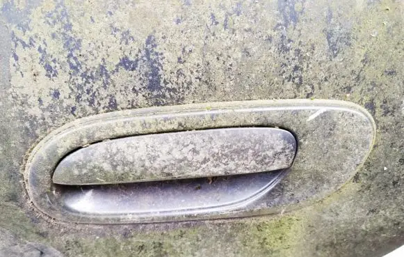 Mazda Xedos 9 Front door exterior handle