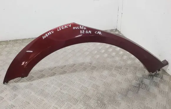 Fender trim (molding)