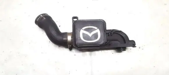 Mazda 2 Air intake hose/pipe psa4019 53849