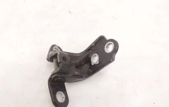 KIA Optima Rear door lower hinge