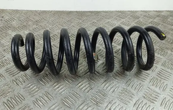 Hyundai Ioniq 5 Rear coil spring