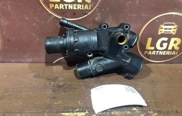 Thermostat/thermostat housing