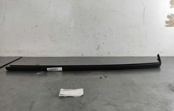 Renault Zoe Rear door glass trim molding 828215008R