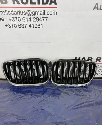 BMW X5 E53 Front bumper upper radiator grill 51137113733 51137113734