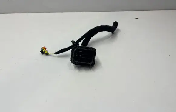 Maserati Levante Other wiring loom