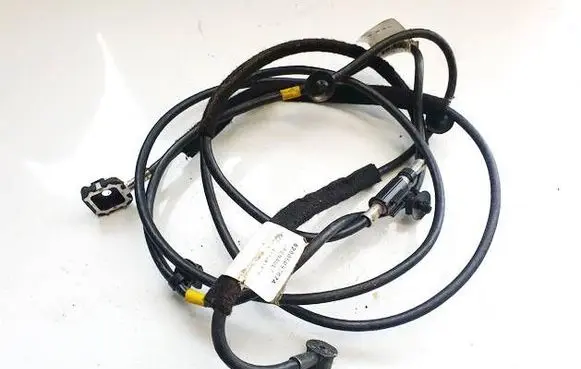 Other wiring loom