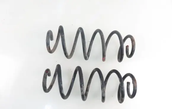 Suzuki Swift I Rear coil spring 