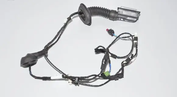 Rear door wiring loom