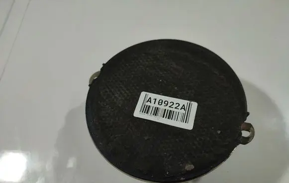 Chrysler Voyager Front door speaker 10278