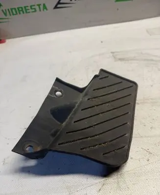 Rear mudguard