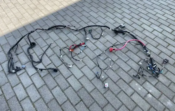 Tesla Model 3 Other wiring loom 35209867 35263131