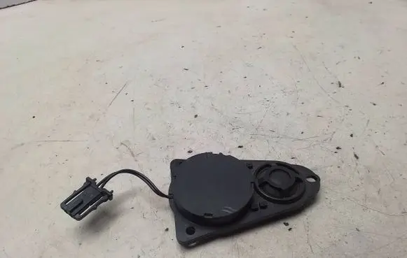 Panel speaker