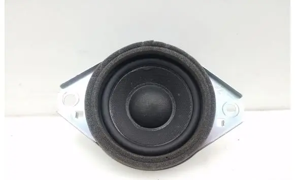 Front door speaker