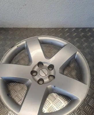 Dodge Charger R20 wheel hub/cap/trim 