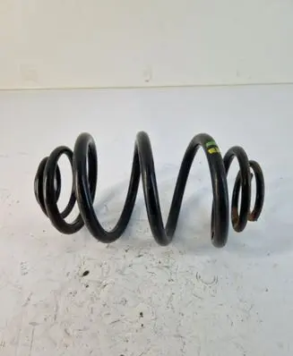 Rear coil spring