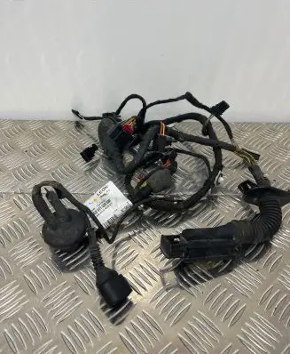 Audi A6 C7 Front door wiring loom 4G5971029GM TAB010403AT