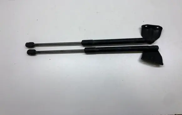 Tailgate/trunk strut/damper