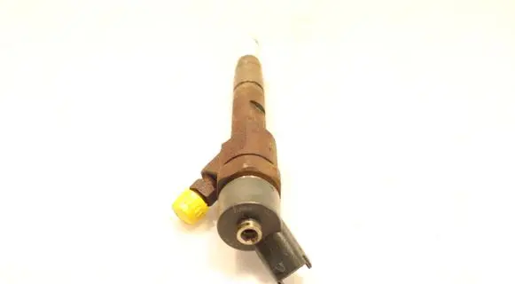 Renault Megane II Fuel injector 0445110110B