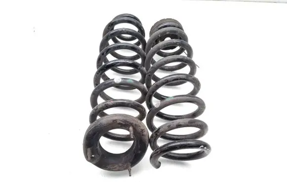 BYD Dolphin Rear coil spring 