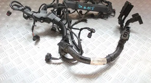 Engine installation wiring loom