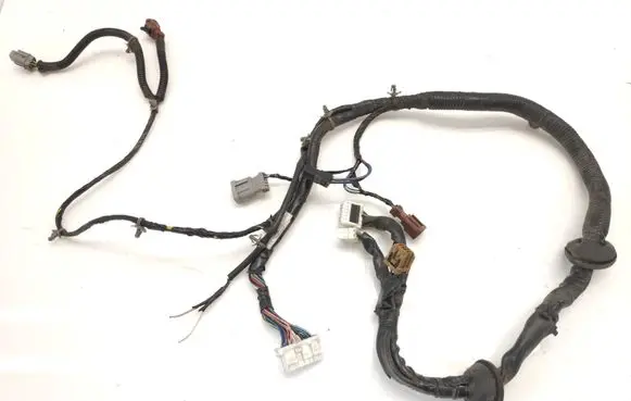 Front door wiring loom
