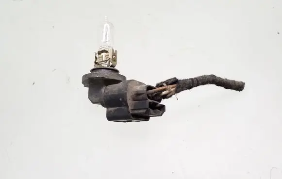 Volkswagen PASSAT B6 Fog light bulb 22N12V60W