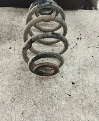 Volkswagen PASSAT B5 Rear coil spring