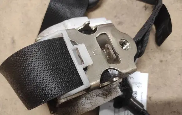 Opel Signum Rear seatbelt 041039 ER031196493