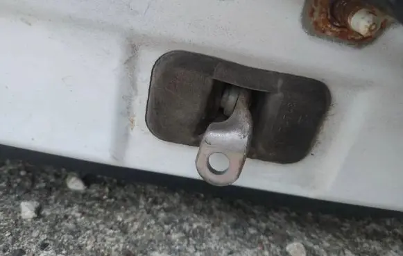 Dacia Sandero Rear door check strap stopper