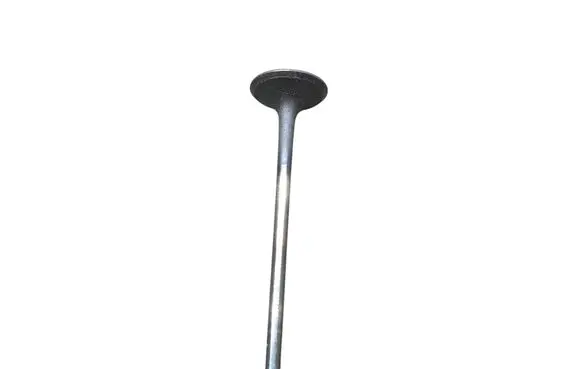 Honda Insight Valve 