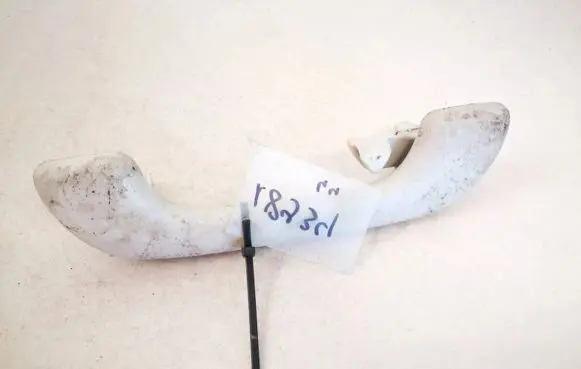 Nissan Qashqai Rear interior roof grab handle 8200003209