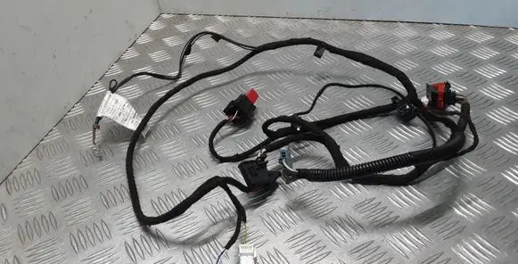 Other wiring loom