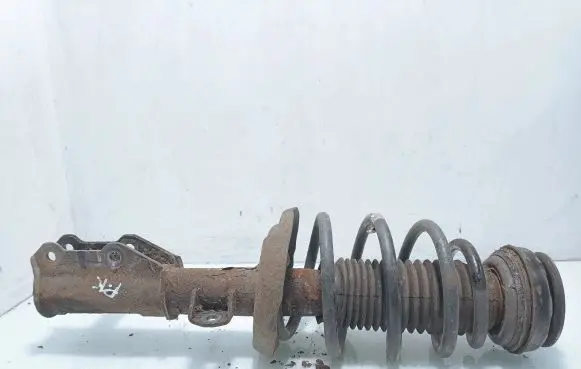 Opel Insignia A Front shock absorber with coil spring 13245966 367327 06201358