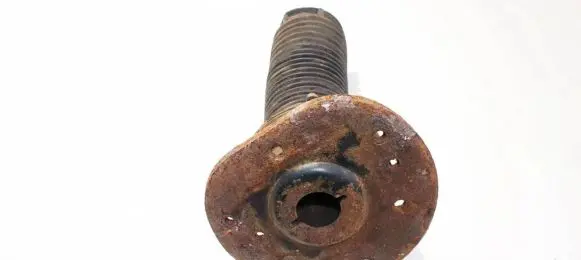 Coil spring mount