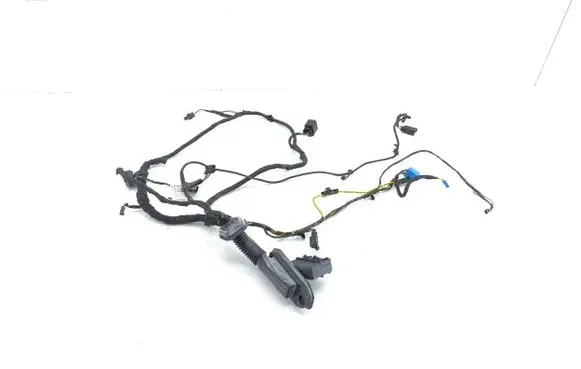 BMW 6 F06 Gran coupe Rear door wiring loom 9255415 4827995 9255414