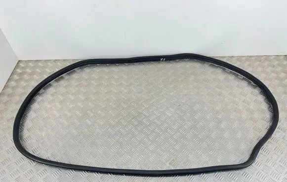 MG EHS Front door rubber seal 10367145