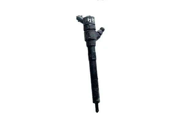 Hyundai Santa Fe Fuel injector 0445110 3880027800