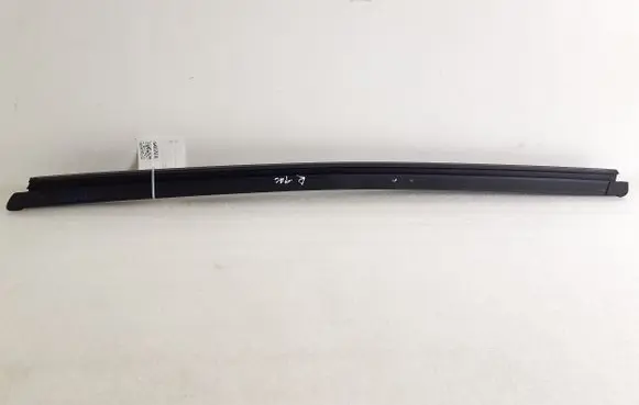Ford Mustang Mach-E Rear door glass trim molding LJ8BR25860A