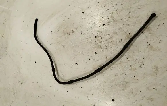 Fuel return line/hose
