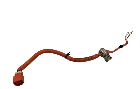 Nissan Leaf I (ZE0) Other wiring loom 297A63NF0A 00004G03 1819000