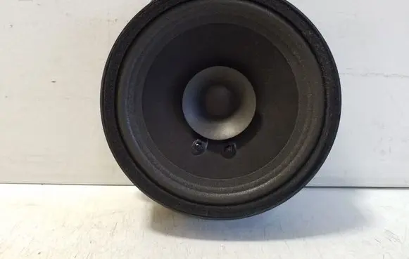 MG ZS Front door speaker 10456933