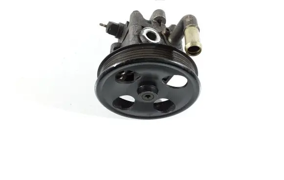 Suzuki Grand Vitara II Power steering pump 56163048 4910065J00