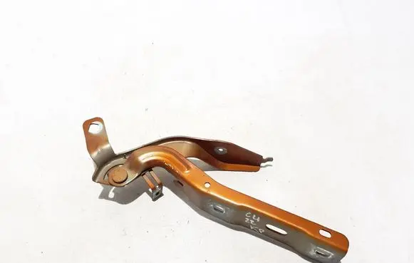 Citroen C4 III e-C4 Engine bonnet/hood hinges 9831199680