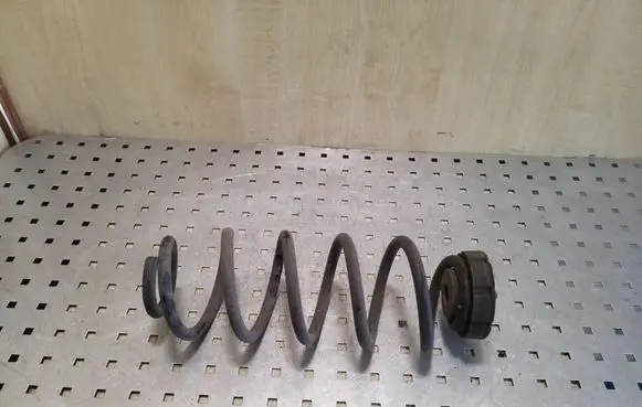 Rear coil spring