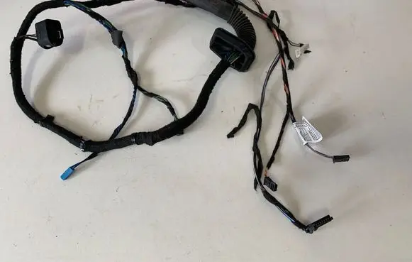 BMW X1 E84 Front door wiring loom 9269949