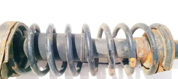 Rear coil spring