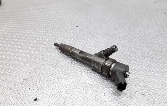 Renault Laguna II Fuel injector 0445110021