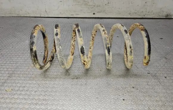 Rear coil spring